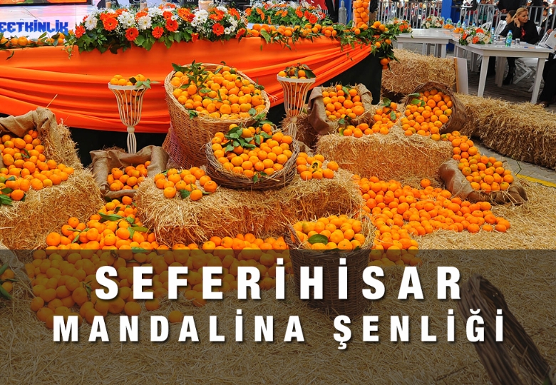 Seferihisar Mandalina Festivali, Sığacık, Şirince ve Efes Turu