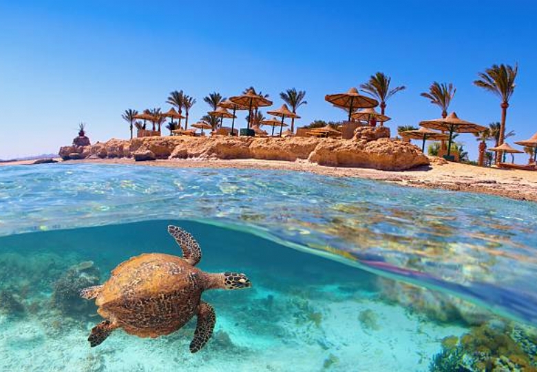 Sharm el Sheikh, Kahire ve İskenderiye – İzmir Direkt Hareketli Özel Uçuş İle – Kolay Vize – Sharm’da Her Şey Dahil Konaklama – Sömestr Özel Programı