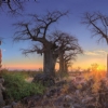 Büyük Afrika Turu – Güney Afrika – Zambiya – Zimbabwe – Botswana